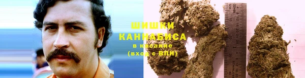 мяу мяу мука Няндома