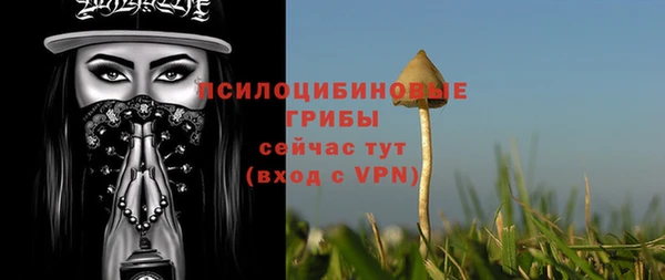 спиды Алексин