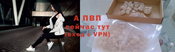 прущие грибы Аша