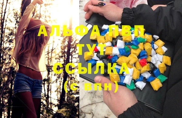 прущие крисы Алзамай