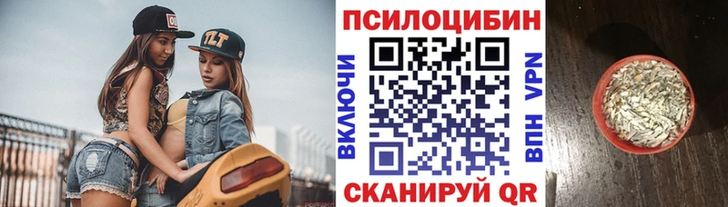 Псилоцибиновые грибы GOLDEN TEACHER  закладка  Нытва 
